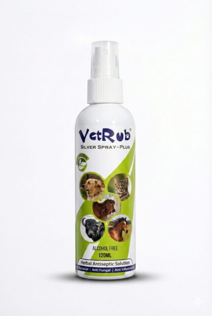 Vetrub silver spray D